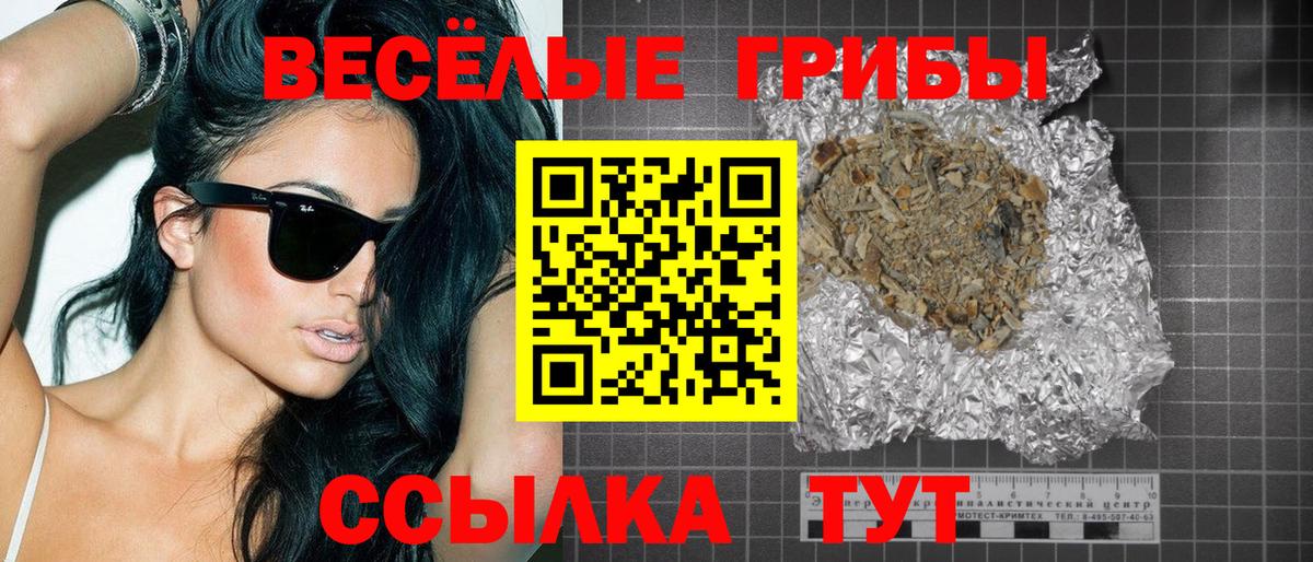 Карачаевск  Псилоцибиновые грибы MAGIC MUSHROOMS  Вход с VPN 