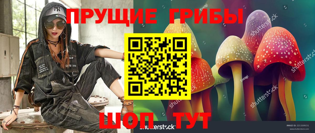 Галлюциногенные грибы мухоморы Карачаевск